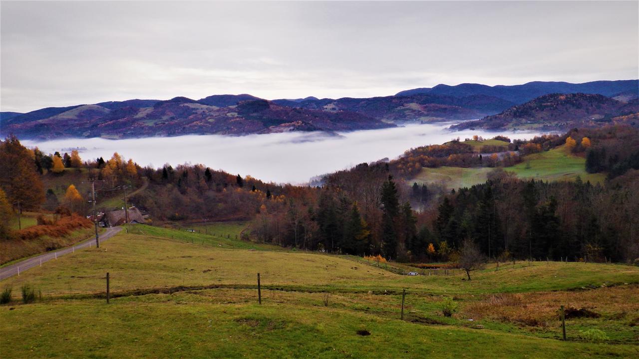 Auberge Du Grammont Ramonchamp 외부 사진